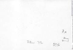Historisches Foto (Rückseite) von Bullariscus patruliusi (Robins, Feldmann & Schweitzer, 2013) (NHMW-AFW-GEO-BACHMAYER-FOTO-1990-0041-2976)